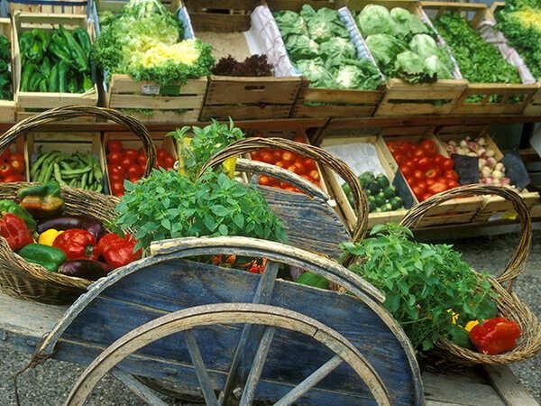 Crisp and juicy vegetables from Kshetriva Farms showing natural hydration